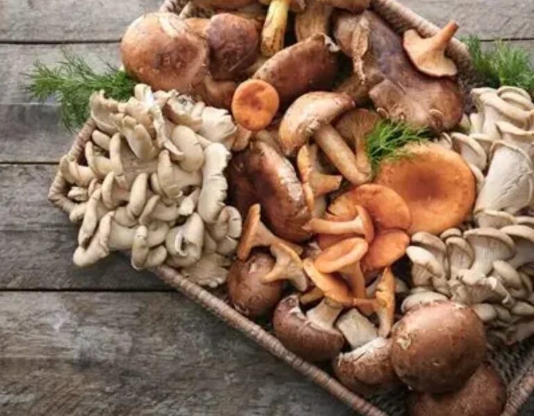 Fresh Mushrooms