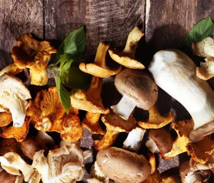 Mushrooms variety