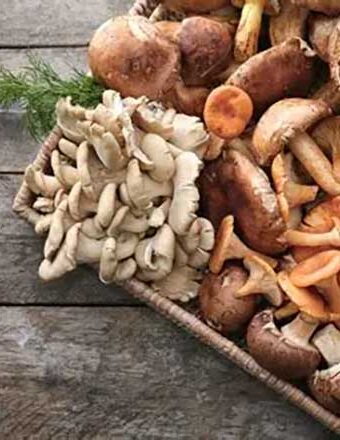 Mushrooms